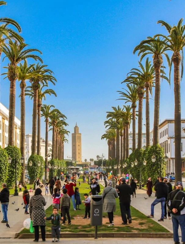 vegetalisation-maroc-ville